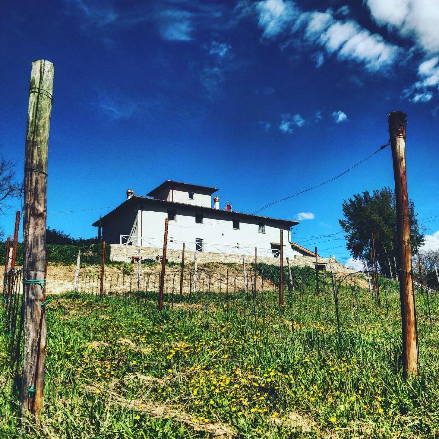 La Valle B&B Cavriglia Exterior foto